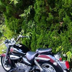 🌈GVC125 アメリカン 驚異の低走行 500キロ以下 原付き 125cc  ビラーゴ125 エリミネーター125 ドラッグスター125の画像