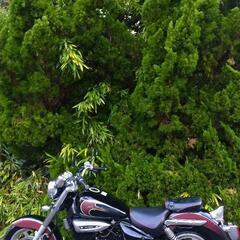 🌈GVC125 アメリカン 驚異の低走行 500キロ以下 原付き 125cc  ビラーゴ125 エリミネーター125 ドラッグスター125の画像