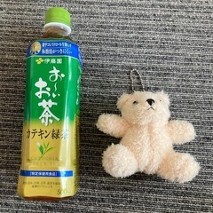 テディベア　くま　ぬいぐるみ　人気　①の画像