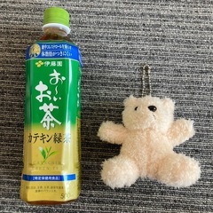 テディベア　くま　ぬいぐるみ　人気　②の画像