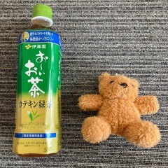 テディベア　くま　ぬいぐるみ　人気　③の画像