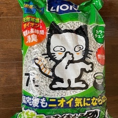 ネコ砂