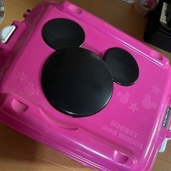 ミニーちゃんケース