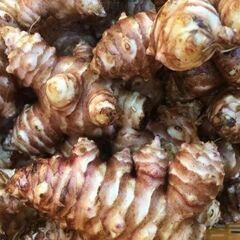 【無化学肥料・無農薬】菊芋パウダー粉末70グラム