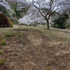 富山県の熊野川の山間部の渓流で小さなゲストハウスを営んでます。施設敷地内では天然ワサビ採りや渓流釣り体験がお気軽にできます。是非とも遊びに来てね。 − 富山県
