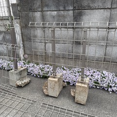 フェンス差し上げますの画像