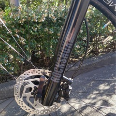 試乗程度 トレック(TREK) マーリン 7 Marlin 2022 Mの画像
