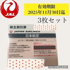 【有効期限2025年11月30日 搭乗分迄】 JAL 日本航空 ...