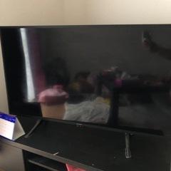 テレビ