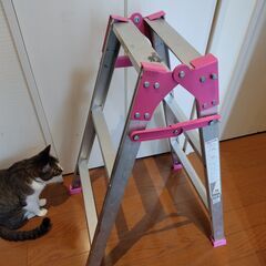はしご兼用脚立