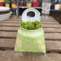 多肉植物　寄せ植えアルミ缶