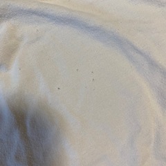 ロンT 5枚セット　保育園　女の子の画像