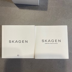 【美品】SKAGEN FALSTER 3（最終値下げ）の画像