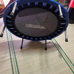 トランポリン　お子様にいかがですかの画像