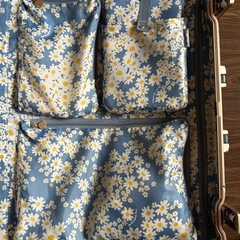 Hant 87Lスーツケースの画像