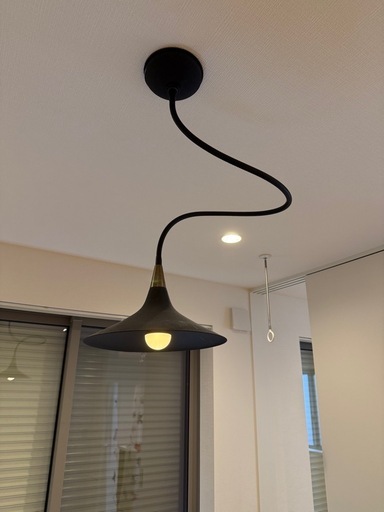 ART WORKSTUDIO(アートワークスタジオ) WAVE100ペンダントライト