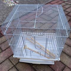 お話中　鳥かごセキセイインコなど中古