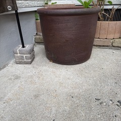 決まりました！大きな植木鉢🪴の画像