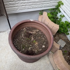 決まりました！大きな植木鉢🪴の画像