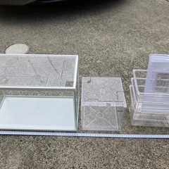 メダカ飼育セット一式