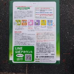 徳用　大麦若葉　青汁の画像
