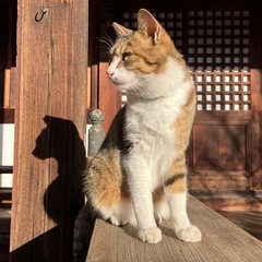 🔸観光(長野)🍷