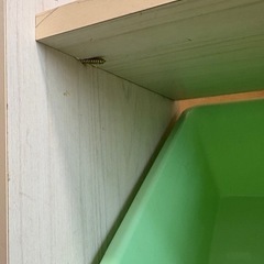 ３段カラーボックス　おもちゃ箱の画像