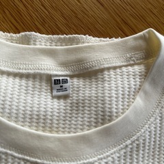 レディース　Tシャツの画像