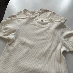 レディース　Tシャツの画像