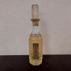 値下げ可 古酒 レア 千尋 焼酎 10年 薩摩酒造 せんじん s...