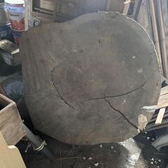 天然木　輪切り　杉　大きい　直径約120cm 　高さ約23cm　...