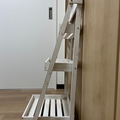 棚の画像