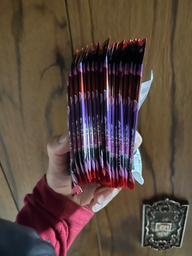 ロケット団の栄光　30p