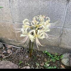 探してます(  . .)"