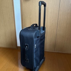 キャリーバッグの画像