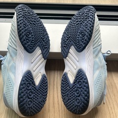 テニスシューズレディースasics24.5か24の画像