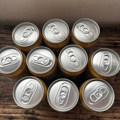 炭酸飲料　ジンジャーエール350ml缶　10本の画像