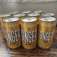 炭酸飲料　ジンジャーエール350ml缶　10本