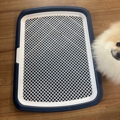 犬用トイレトレーワイド　45✖️60 　