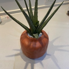 Francfranc 観葉植物　フェイクグリーン　アロエの画像