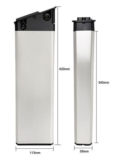 新品充電バッテリー MATE SUNPIE FLYFISH 48V仕様モペット ひねちゃ用