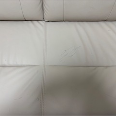 ニトリ　コウテイ3の画像