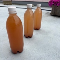 PSB 500ml  ②