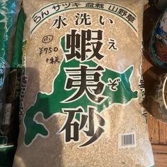 蝦夷土
