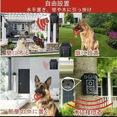 犬用　むだ吠え防止グッズの画像