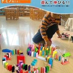 【完売】積み木 ドミノ倒し AISFA 480個 ギミック 仕掛け 43種セット 木製の画像