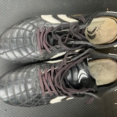 YASUDAスパイク2足の画像