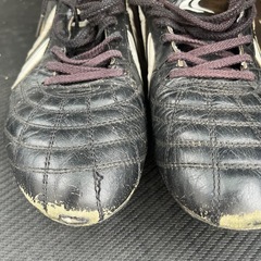 YASUDAスパイク2足の画像