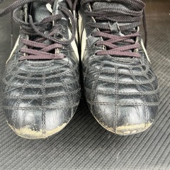 YASUDAスパイク2足の画像