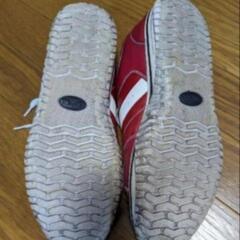 EDWIN　メンズスニーカーの画像